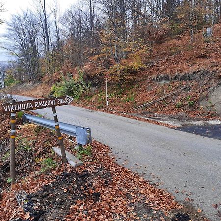 Villa Vikendica Rankovici Mokra Gora Exterior foto