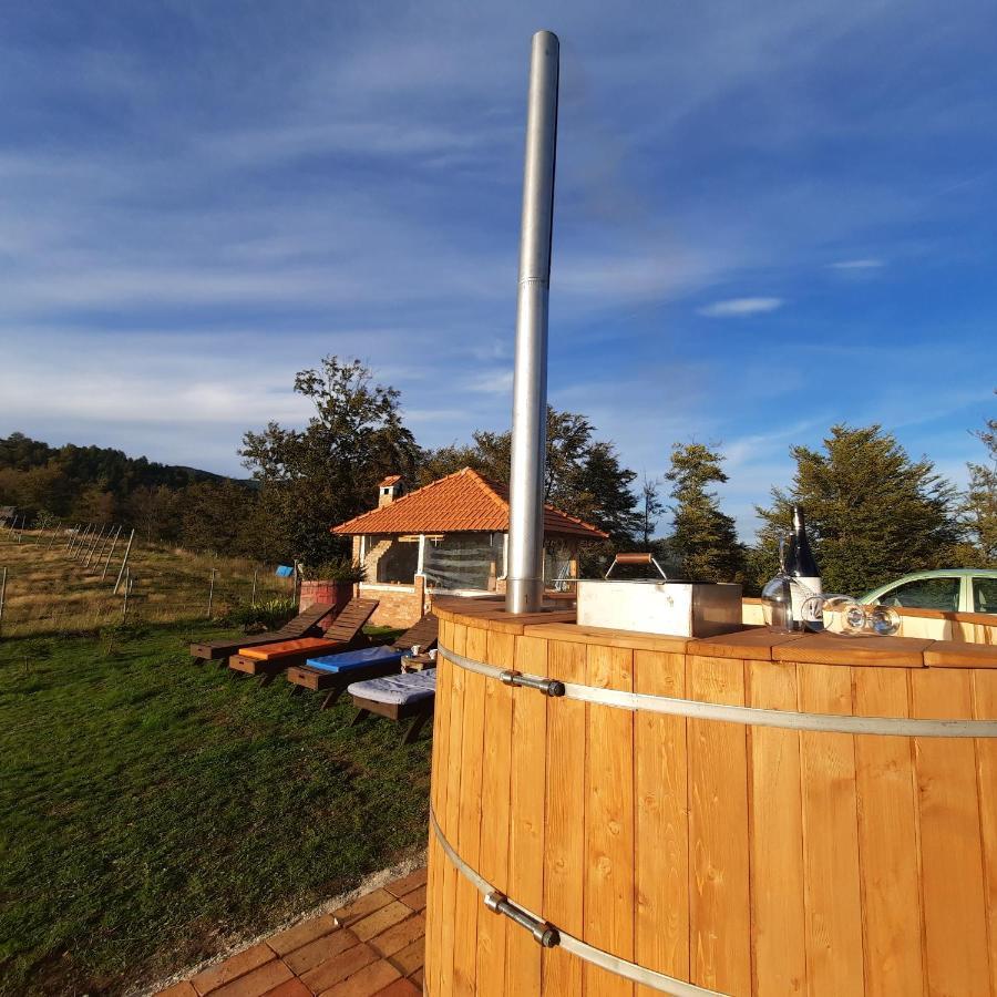 Villa Vikendica Rankovici Mokra Gora Exterior foto