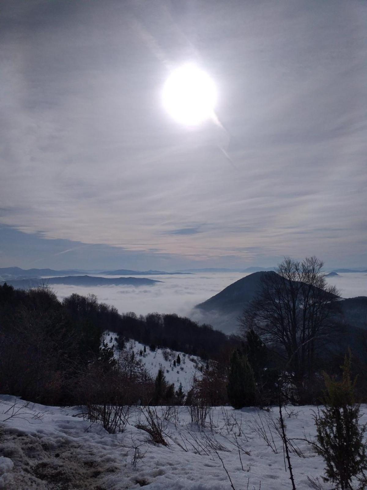 Villa Vikendica Rankovici Mokra Gora Zimmer foto