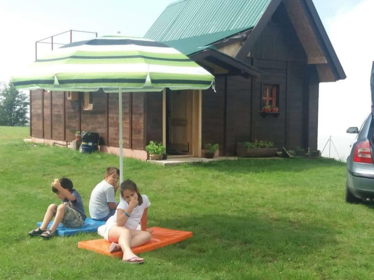 Villa Vikendica Rankovici Mokra Gora Exterior foto