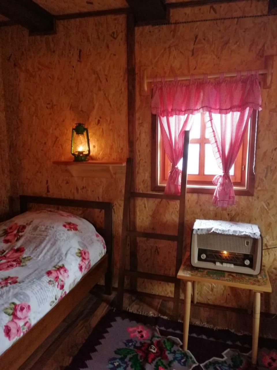 Villa Vikendica Rankovici Mokra Gora Exterior foto