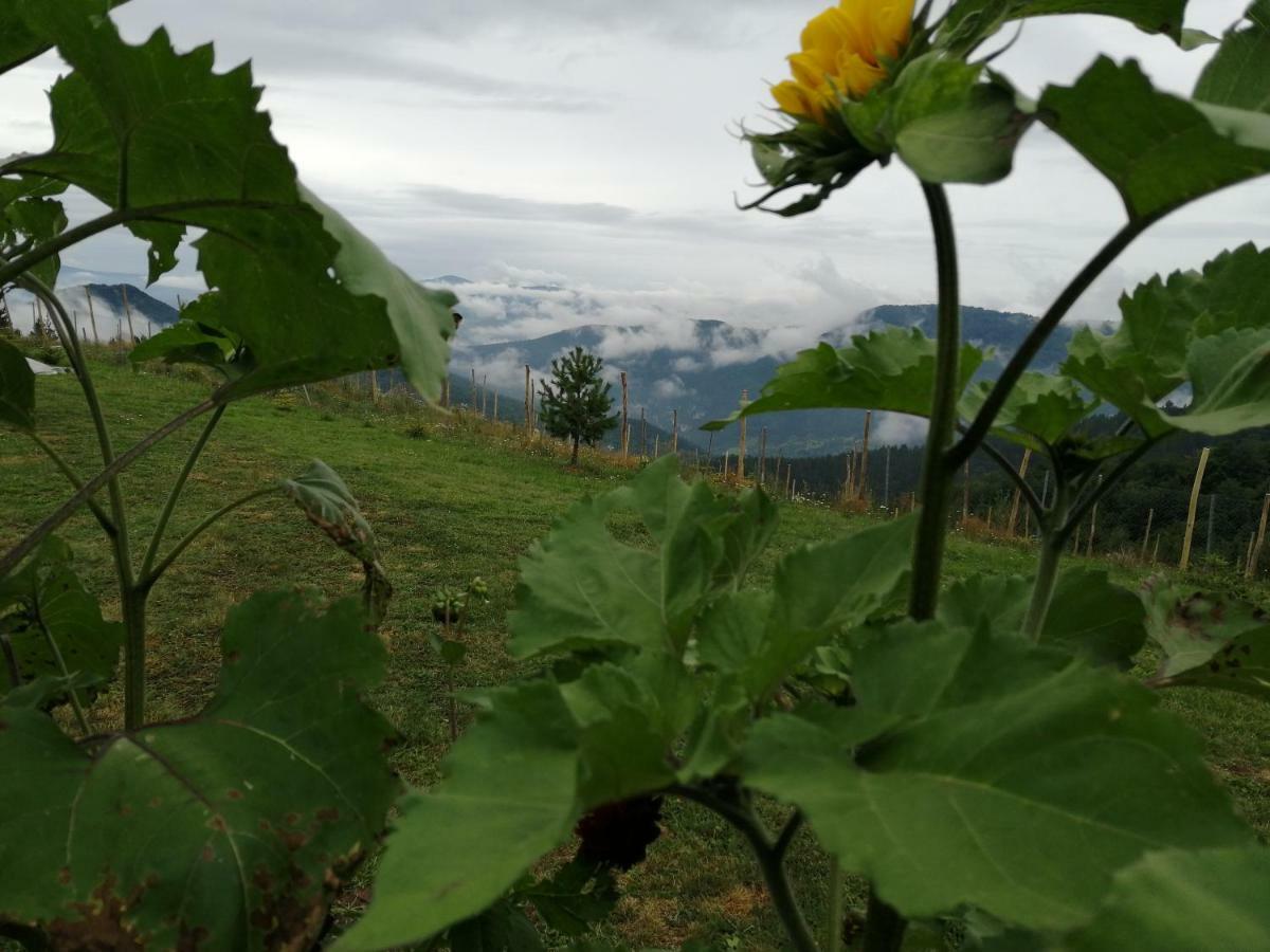 Villa Vikendica Rankovici Mokra Gora Exterior foto