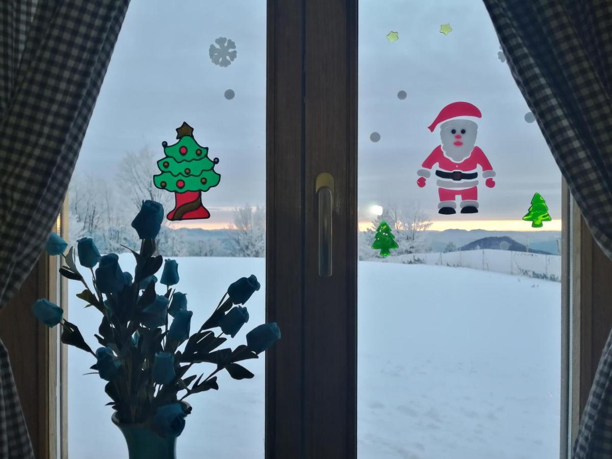 Villa Vikendica Rankovici Mokra Gora Exterior foto