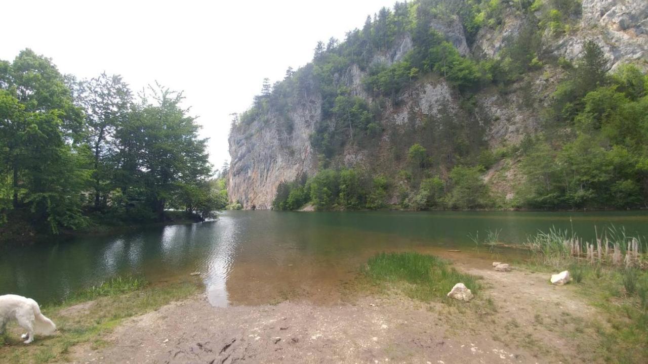 Villa Vikendica Rankovici Mokra Gora Exterior foto